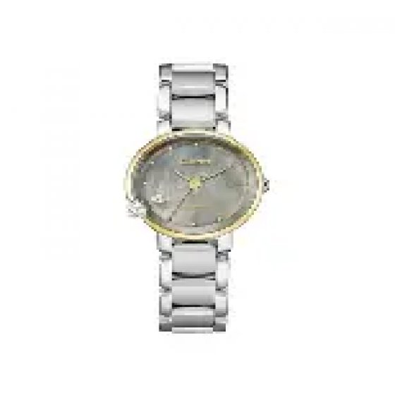 ساعت citizen مدل EW5584-81Y
